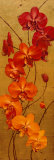 Golden Orchids I Posters by Kenneth Catlett