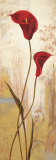 Panneau Calla Pósters por Nathalie Besson Panneau Calla Pósters por Nathalie Besson