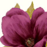 Grandiflora Blush II Print by Linda Wood