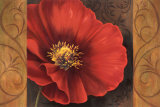 Pavots Rouges I Poster by Jordan Gray