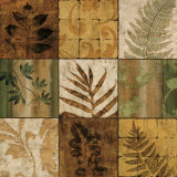 Nature's Touch I Prints by Chris Donovan