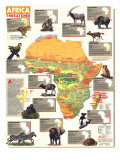 Africa Threatened Map 1990 Print