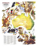 Australia, Land Of Living Fossils Map 1979 Kunstdruck