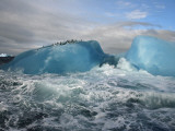 Chinstrap penguins rest atop a blue iceberg near Candlemas Island Photographic Print by Maria Stenzel