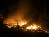 A night burnout operation on a forest hillside Photographic Print by Mark Thiessen