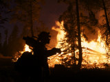 A night burnout operation on a forest hillside Photographic Print by Mark Thiessen