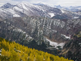 Mountain larch trees and mountains at the summit of Tamarack Trail. Photographic Print by Michael Melford