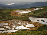 The Numanodaira wetlands' swirl of lakes, bogs, and beech forests Photographie par Michael S. Yamashita