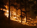 Forest fire caused by lightning in Custer State Park Photographic Print by Mark Thiessen
