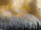 The Waterton-Glacier International Peace Park Forest fire. Photographic Print by Michael Melford