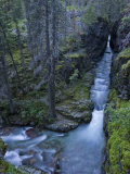 Water coursing down a gorge through a wooded setting Photographic Print by Michael Melford