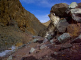 A snow leopard signals its presence by rubbing its scent on a rock Photographic Print by Steve Winter