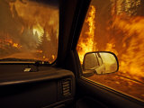 A firefighter supervisor drives through flames that jumped the road Lámina fotográfica por Mark Thiessen