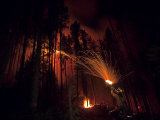 A flare is shot onto a burning hillside to create a backfire Lámina fotográfica por Mark Thiessen