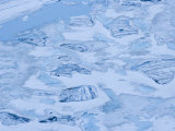 Floating icebergs in Upper Grinnell Lake, from Grinnell Glacier. Photographic Print by Michael Melford