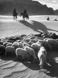 Native American Indians Herd Sheep Lámina fotográfica de primera calidad por Loomis Dean Native American Indians Herd Sheep Lámina fotográfica de primera calidad por Loomis Dean