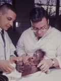 Orangutan Felix and Gigi, St. Louis Zoo Lámina fotográfica por Nina Leen