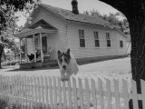 Old School House Now Inhabited by House Painter Charlie Harris Lámina fotográfica por Walter Sanders