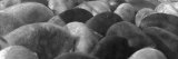 Pigs Crowded Together at a Swift Meatpacking Facility Lámina fotográfica por Margaret Bourke-White