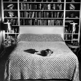 Pet Cat Sitting on Bed of Author Dorothy Parker Lámina fotográfica Pet Cat Sitting on Bed of Author Dorothy Parker Lámina fotográfica