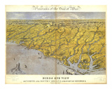Caroline du Nord et du Sud et une partie de la Géorgie Affiches par John Bachmann