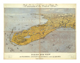 Florida and Part of Georgia and Alabama, c.1861 Prints by John Bachmann
