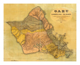 Oahu, Hawaiian Islands, c.1899 Prints by T. D. Beasley