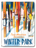 True Mountain Adventure Wood Sign