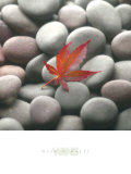 Leaf on Stone Art by Glen & Gayle Wans