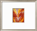 Red Canna Prints by Georgia O'Keeffe