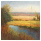 Serenity Marsh I Prints by Quan Yong Xu