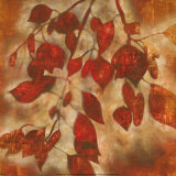 Organic Harmony I Prints by Randy Hibberd