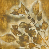 Organic Harmony II Posters by Randy Hibberd