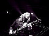 Zutons, The Photographie par Nick Elliott
