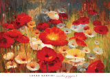 Meadow Poppies I Poster von Lucas Santini
