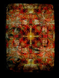 The Red Treasure Photographic Print by Alaya Gadeh