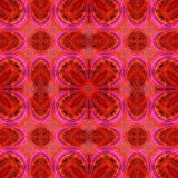 Red Love Photographic Print by Alaya Gadeh