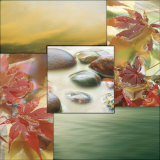 River Rocks I Prints by Donna Geissler