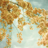 Tuesday Morning Prints by Donna Geissler