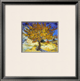 Mulberry Tree, c.1889 Posters by Vincent van Gogh
