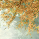 Under a Blue Sky Posters by Donna Geissler
