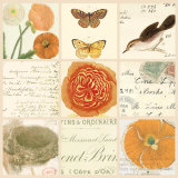 Poppy Vignette II Prints by Paula Scaletta