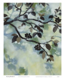 Evening Shadows I Prints by Irene Paschal