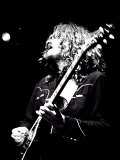 Zutons, The Photographie par Nick Elliott