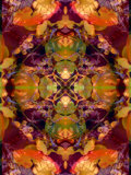 Ornamental Kiss Photographic Print by Alaya Gadeh