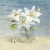 Lilies and Shells Prints by Danhui Nai