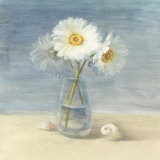 Daisies and Shells Posters par Danhui Nai