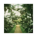 Serres 12, 2008 Premium Giclee-trykk av Alexandre Bibaut Serres 12, 2008 Premium Giclee-trykk av Alexandre Bibaut