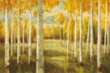 Aspens Art by Danhui Nai Aspens Art by Danhui Nai