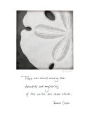 Sanddollar Kunst von Deborah Schenck
